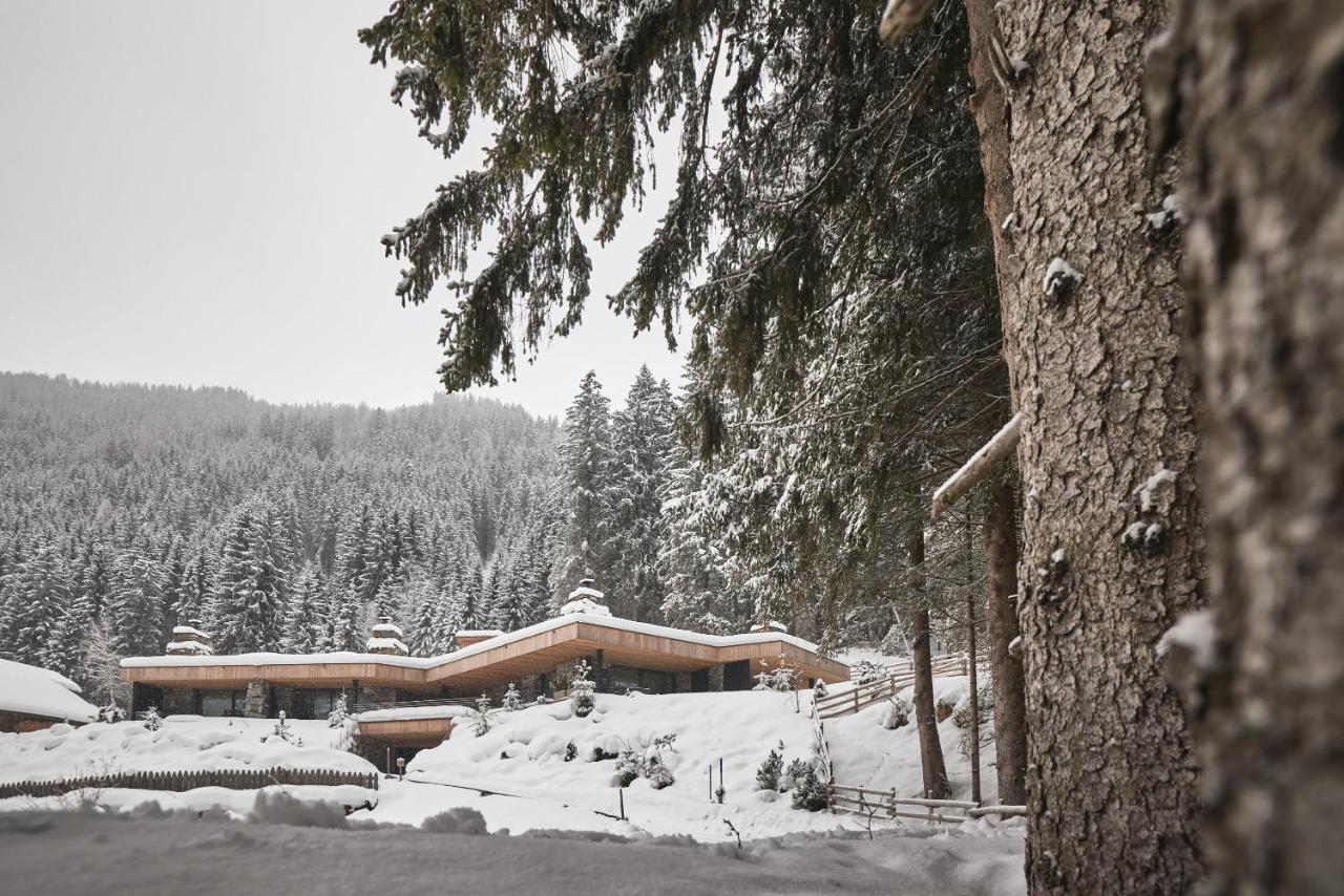 Tenne Chalets Racines Dış mekan fotoğraf